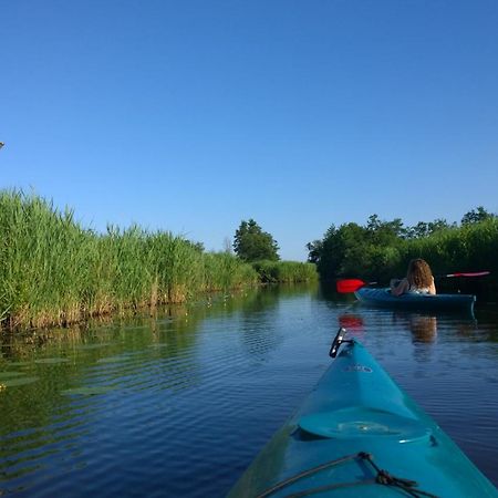 Belt-Schutsloot B&B De Zilverreiger المظهر الخارجي الصورة