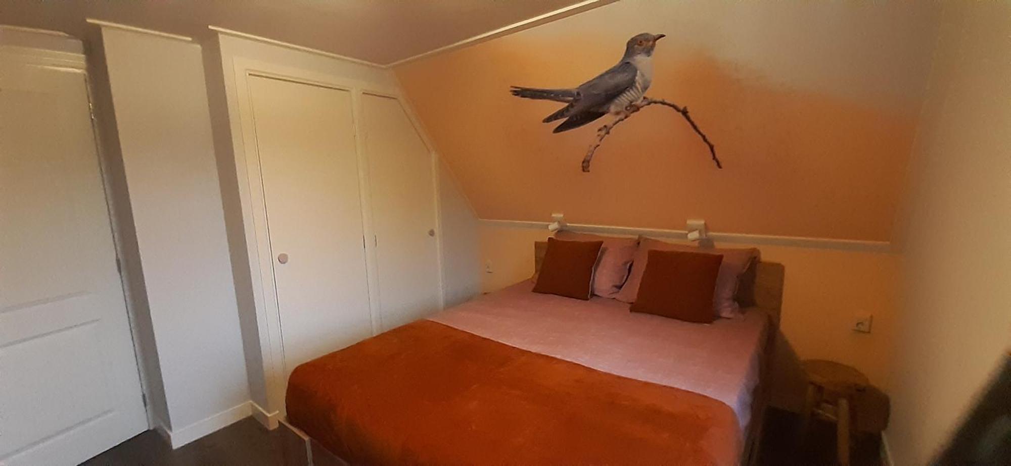 Belt-Schutsloot B&B De Zilverreiger المظهر الخارجي الصورة